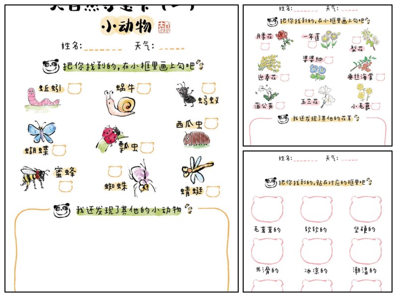 自然寻宝任务卡｜乔智大叔手绘