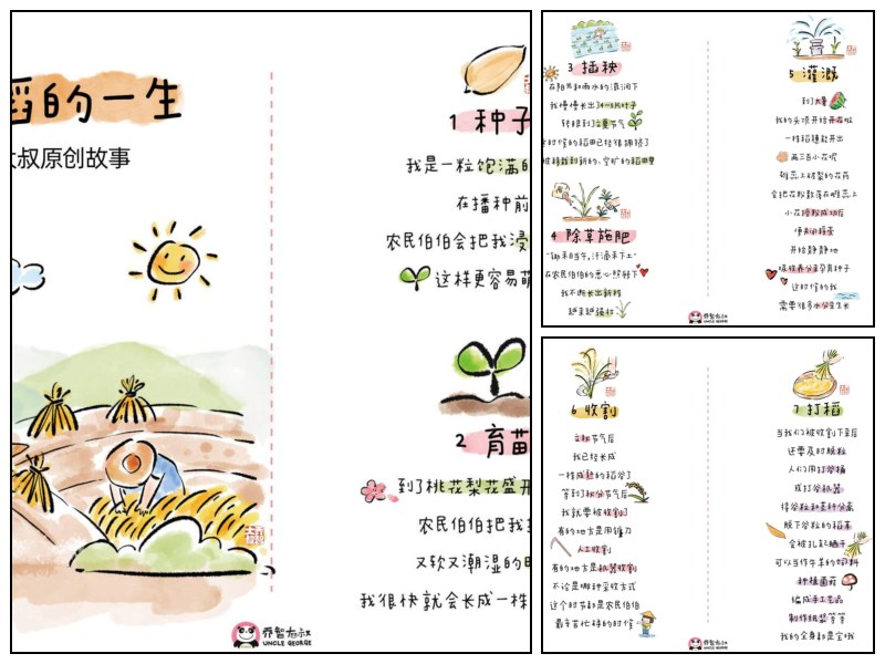 赠品乔智大叔原创故事——水稻的一生